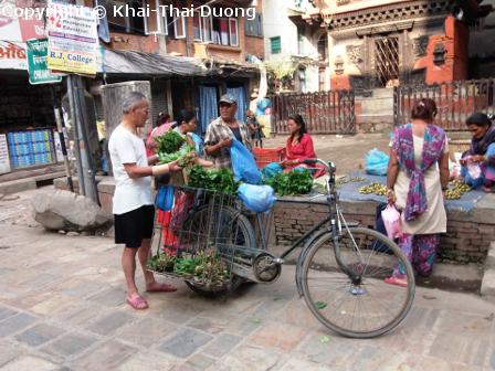 Typischer Verkäufer von frischem Gemüse an seinem Fahrrad.