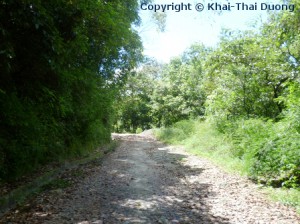 Shivapuri National Park - ist die grüne Lunge von Kathmandu.