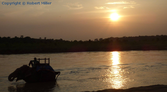 Chitwan Nationalpark - Das Herz des Dschungels