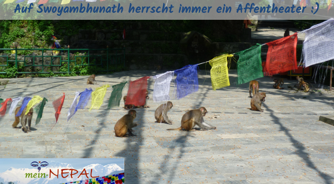 Swayambhunath wird im Volksmund auch als Monkey Temple (Affentempel) bezeichnet.